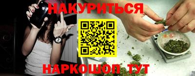 прущий лед Будённовск