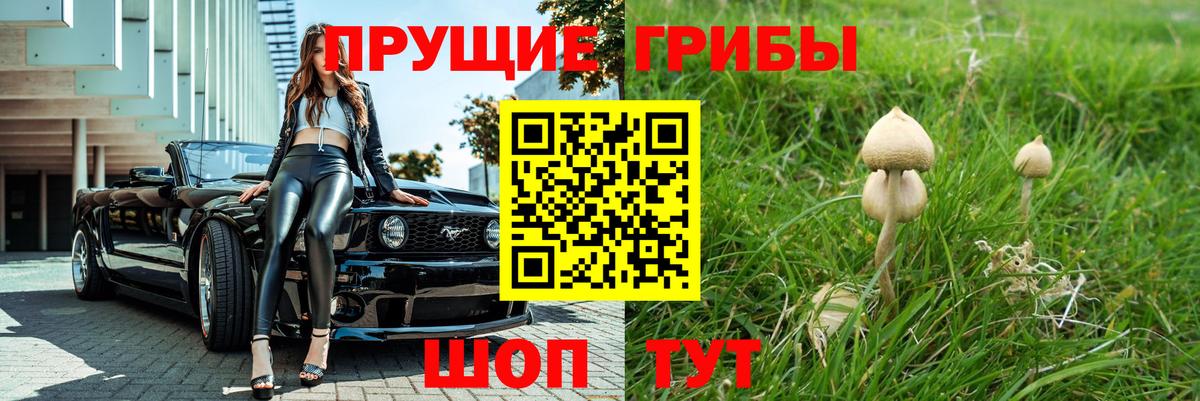 Отрадное  Галлюциногенные грибы ЛСД  Галлюциногенные грибы прущие грибы  Вход с VPN 